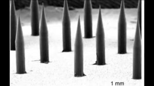 Моё старое видео кто не видел РЕКОМЕНДУЮ-МИРУ ЯВИЛИ 2-ГО ВСАДНИКА АПОКАЛИПСИСА.