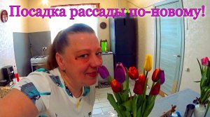 Простая жизнь в деревне. 8 марта. Сажаю перцы и баклажаны.