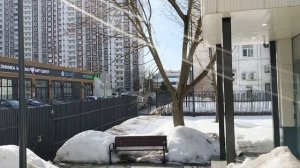 В Москве весна и новогодние ёлки😄.Песняо весне.