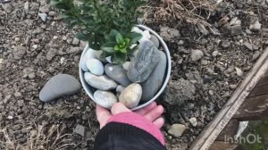 Огород . Весенние работы часть 2 (11.03.26)