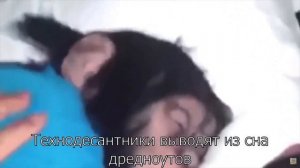 Космодесант be like: