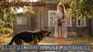 Истории из жизни. Собака укусила в день рождения. Аудио рассказы