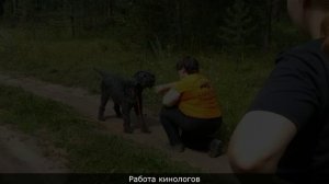 «Спасатели вас видят»