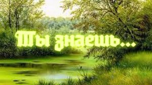 Ты знаешь...