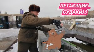 МОНТАЖ НА СУДАКА!СУДАК ЛУПИТ/РАЧКИ НА СУДАКА! РЫБАЛКА НА СПИННИНГ