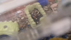 5.4.0. Обнова?