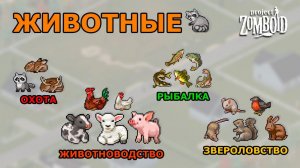 ВСЁ про Животных в Project Zomboid! Охота, Рыбалка, Животноводство и Звероловство.