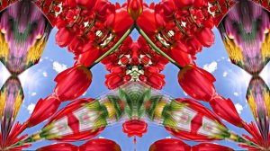 С Днём Рождения!!! Весенний сон 2!!! Музыкальная открытка от Киностудии Мудрого Кота Тимофея!