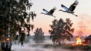 Мать - земля! ❤️🔥❤️🔥❤️🔥