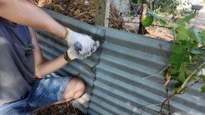 Мой дом атакуют дикие кабаны! Спасаю огород в Португалии _ (Дом в Португалии) Выпуск 20