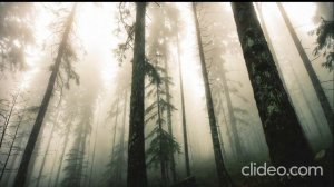 Скандинавский фолк нордическая музыка  | Nordic folk scandinavian traditional music