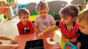 "Чудесный огород" в группе раннего возраста №2 "Карапузики".
С. И. Шавлова, Л. А. Шушура. 👍