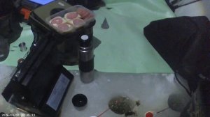 Рыбалка на щуку с ночевками на жерлицы на Озере Петровском (√4) часть 1