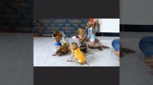 Соской и половником мама насаждает порядок и послушание...
1000044947.mp4