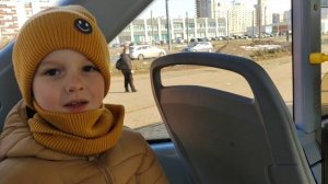 Все виды общественного транспорта в Петербурге