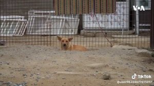 Моя борьба с топланом