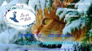 #870 Ежемесячный показ проекта "Жизнь прекрасна!" - февраль 2026