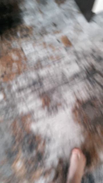 VID_20260312_173101.mp4