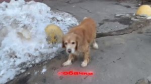 мини распаковка