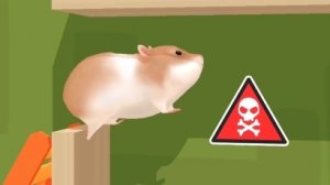 Hamster Maze. Хомяк в лабиринте