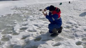 Форель на резину