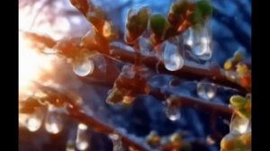 Весенний вальс