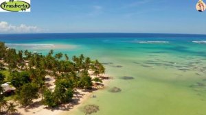 Развлечение, наследник 3 часть