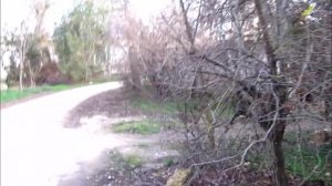 Крым.Саки.Курортный парк.