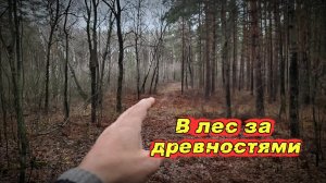В лес за древнятиной. Копаю на старой дороге.
