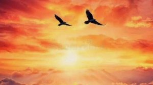 Музыка. Летите смело птички наши.