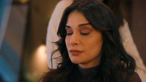 Преемник: Зов предков 18 серия (сериал, 2025)