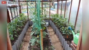 Положила это В ЛУНКУ, помидоров море и они крупные