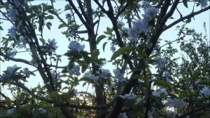 Роковая ошибка 15 марта. Которая, закроет все дороги.