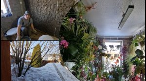 Похоже потоп отменяется. Спасаю цветы в оранжерее. Замахался накидыавть слои в дубае