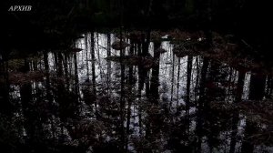 В Тверской области продолжается мониторинг воды в реках