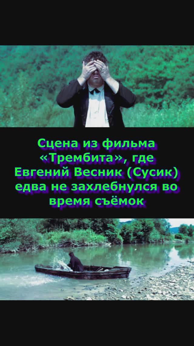 сцена из фильма трембита печальный факт #кино #фильм #музыкальность #юмор