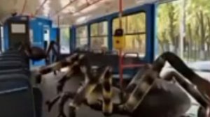 СЕЛО МОЛОЧОЕ МЕМ.mp4