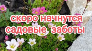 Скоро начнутся садовые заботы