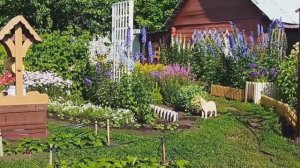 Подсмотрела за котом))