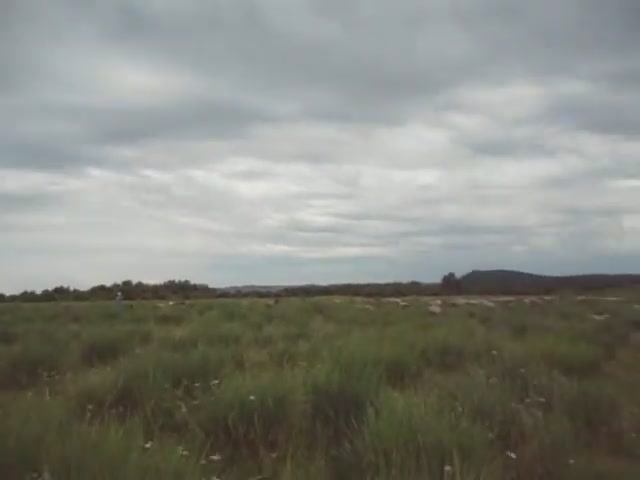 Иду на речку купаться. Лена около своих животных.