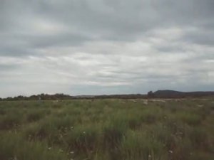 Иду на речку купаться. Лена около своих животных.