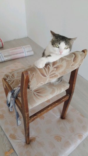 разговоры 2!!!