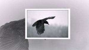 Тина Кузнецова- Ты лети, голубок