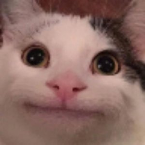 что она меня никто не подписывается