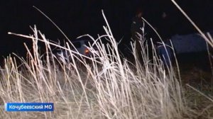 На Ставрополье начался учёт диких животных: журналисты ГТРК "Ставрополье" участвовали в ночном рейде