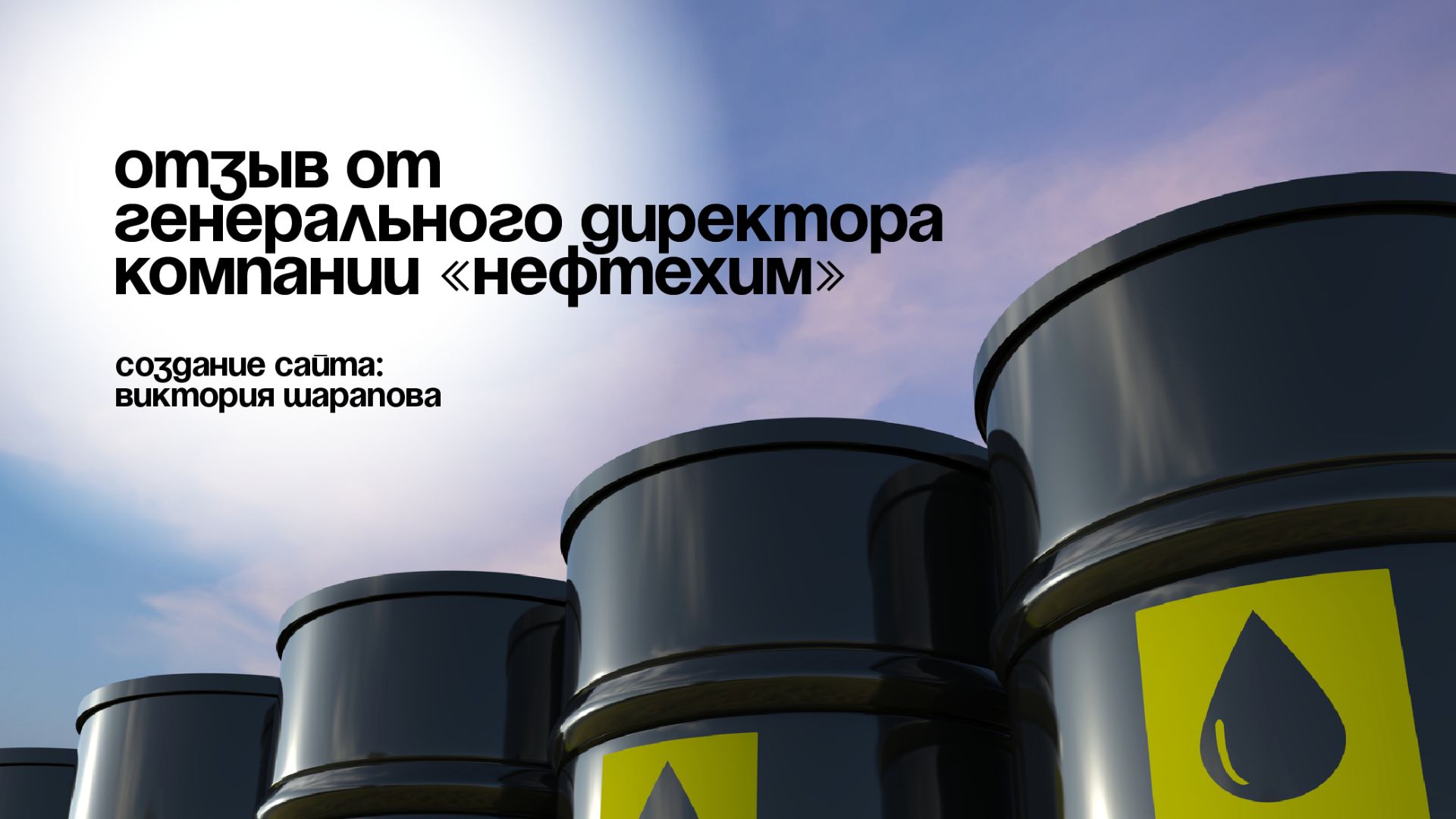 Отзыв от генерального директора компании "Нефтехим" (создание сайта - Виктория Шарапова)