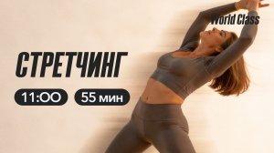 СТРЕТЧИНГ с Еленой Дубас | 14 марта 2026 | Онлайн-тренировки World Class