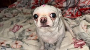 Доброго раннего утречка и прекрасного настроения!