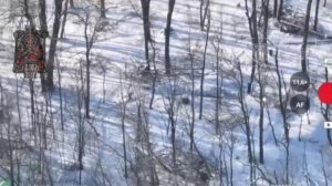 Выдали себя.