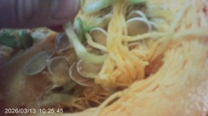 Обзор: "Семена тыквы "Богатырская сила" начали рост ещё в утробе материнской тыквы"